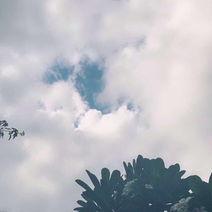 黑人囗交深唉吞精
